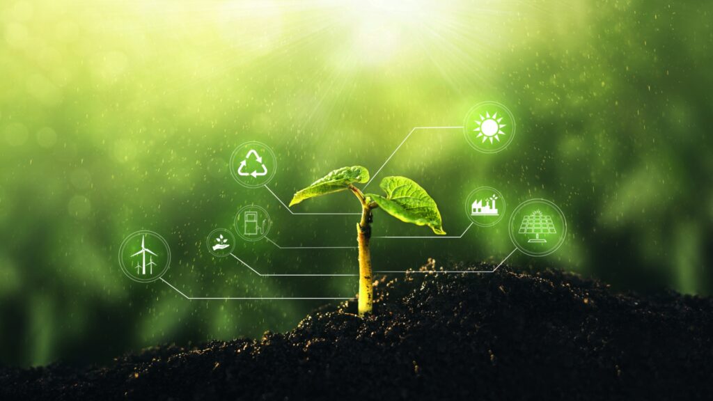 Foto Environmental Law